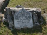 image of grave number 886742
